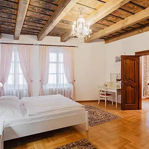 https://u-cerneho-medveda-at-the-black-bear.praguehotelsweb.com