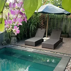 https://dpuja-home-stay-and-spa.ubudhotelsnow.com